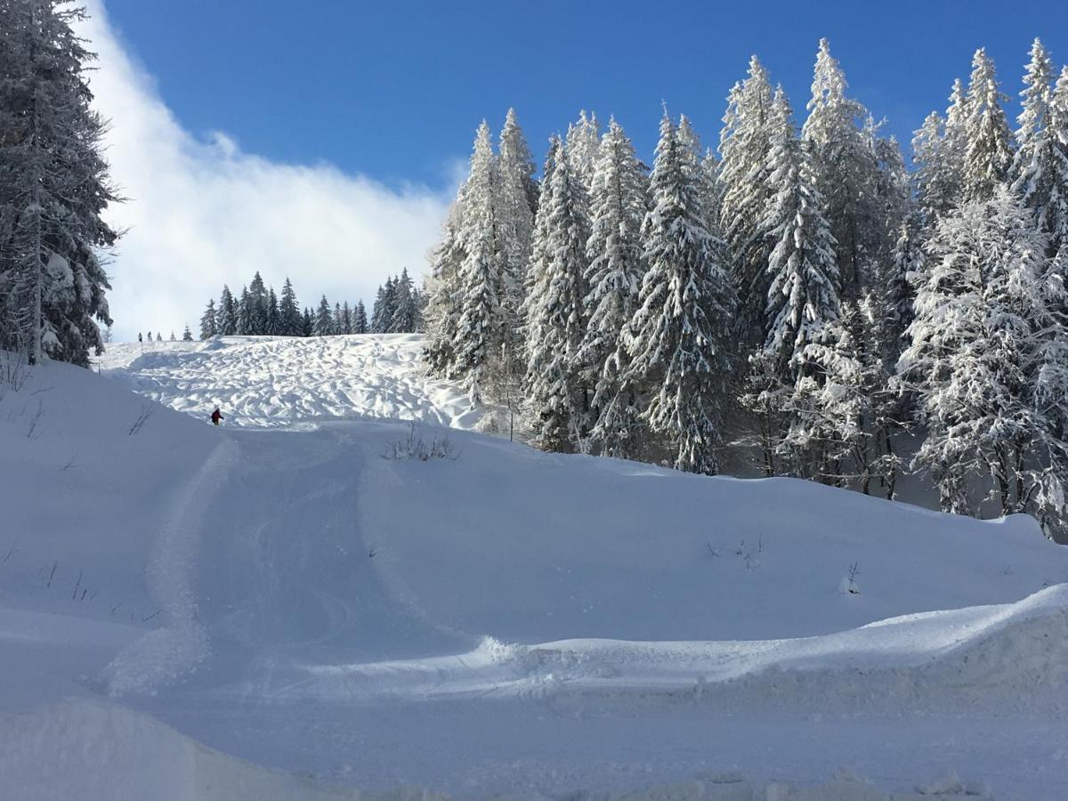 Ferienwohnung Heimweg Feldberg  Exteriér fotografie