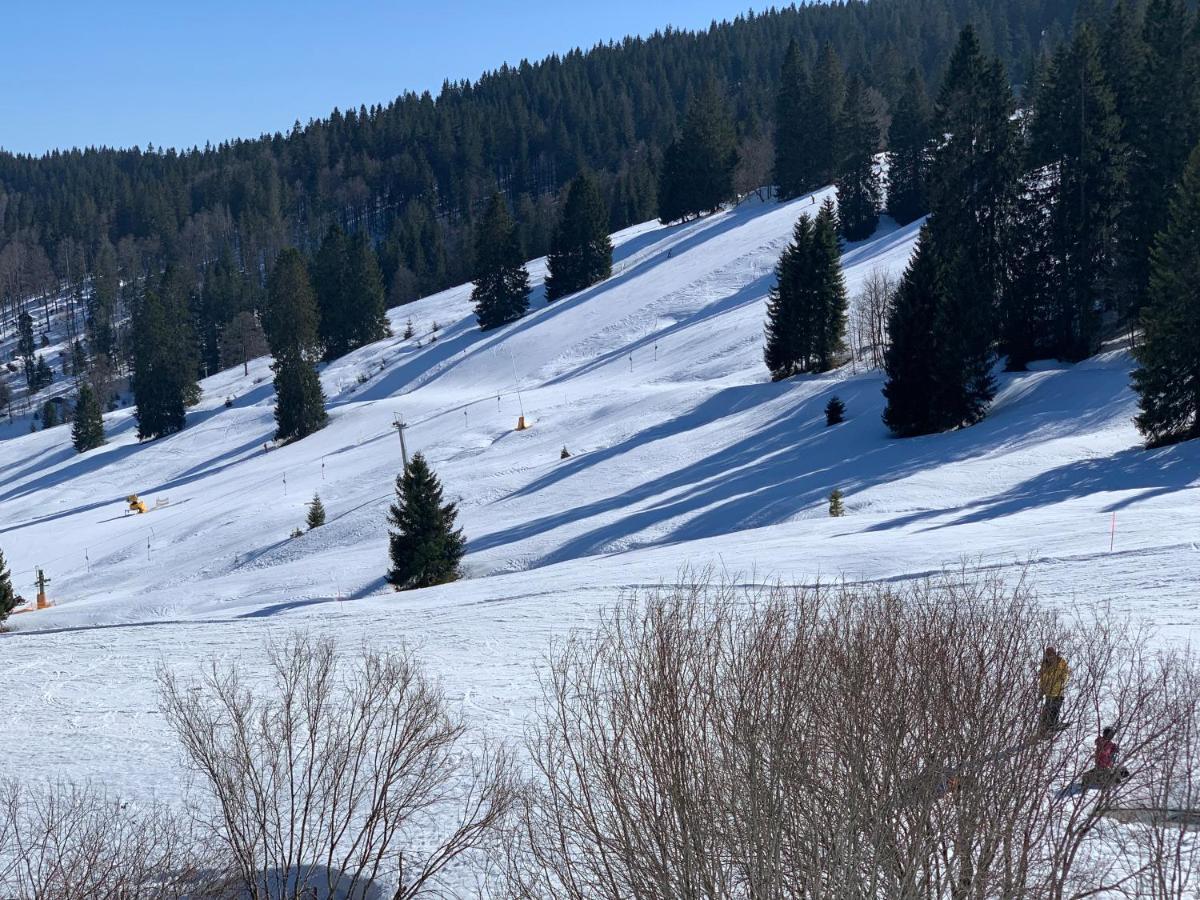 Ferienwohnung Heimweg Feldberg  Exteriér fotografie